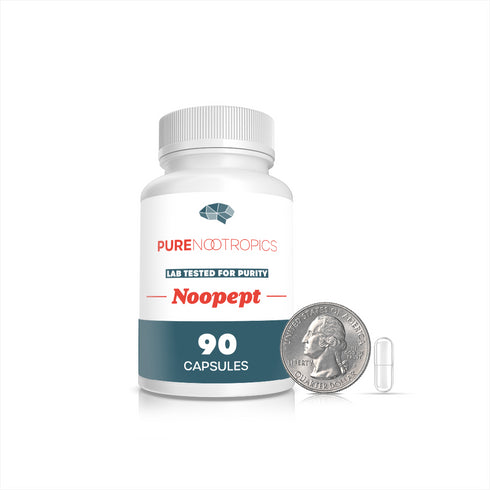 Noopept Powder, Capsules, & Solution